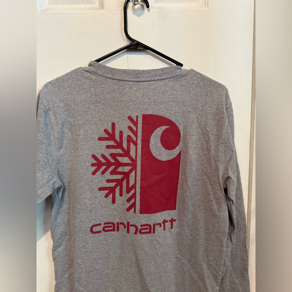 Carhartt Relaxed Fit Heavyweight Long-Sleeve Pocket C Snow Graphic T-Shirt